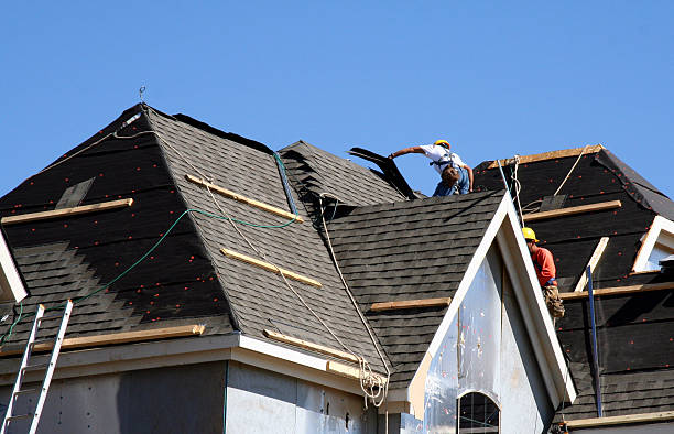 Roof Moss and Algae Removal